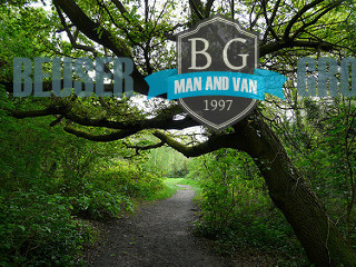 Tooting Bec SW17 Man with Van